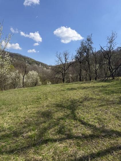 Casă cu 2 camere în Barbura