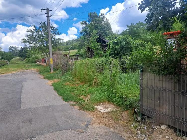 Teren de 3500 mp, în Viforâta