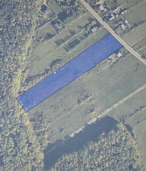Teren agricol extravilan de 10000 mp, în Grajduri