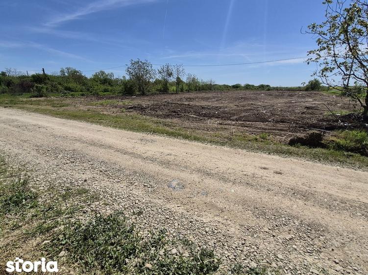 Teren Therme,canalizare,apa curenta,gaz,electricitate,31000 euro - 9