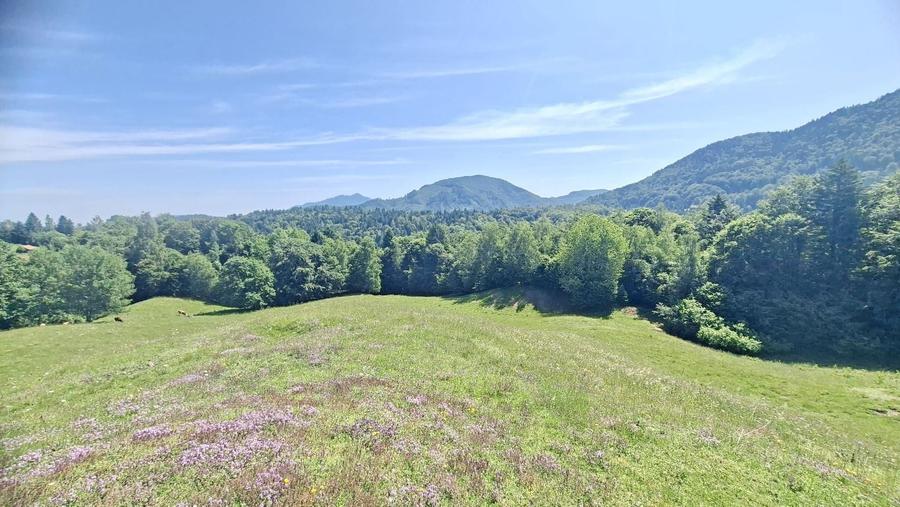 Teren Construcții extravilan de 126000 mp, în Glăjărie