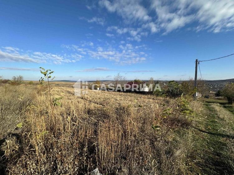 Teren Construcții extravilan de 3000 mp, în Șorogari