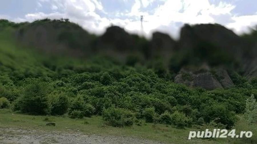 Teren de 1000 mp, în Doftana