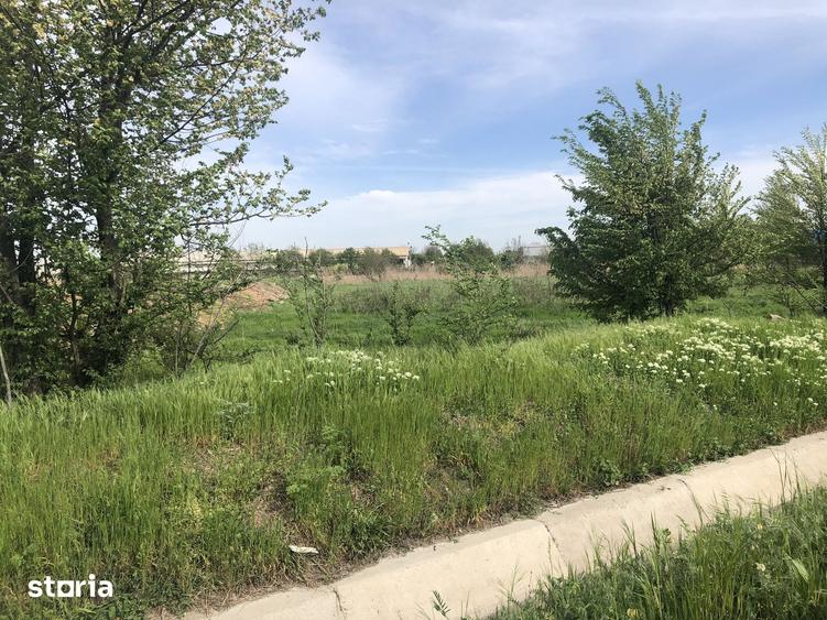 Teren de 5000 mp, în Adunații-Copăceni