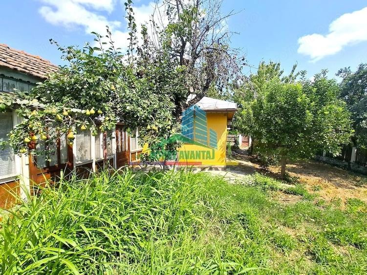 Casă cu 3 camere cu Teren 4400 Mp în Vulturu