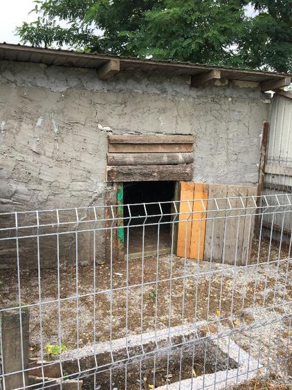 Casă individuală cu 5 camere cu Teren 4500 Mp în Viișoara