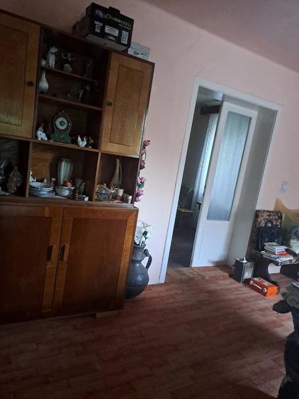Casa de vanzare - loc. Cenad - 10