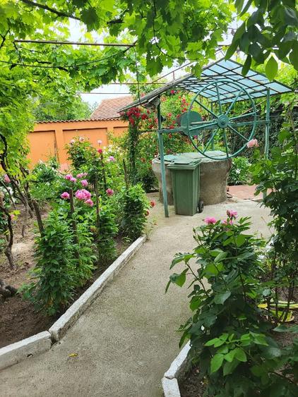Casă cu Teren 1500 Mp în Schinteiești