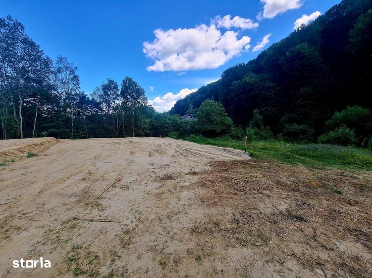 Teren de 453 mp, în Bujoreni
