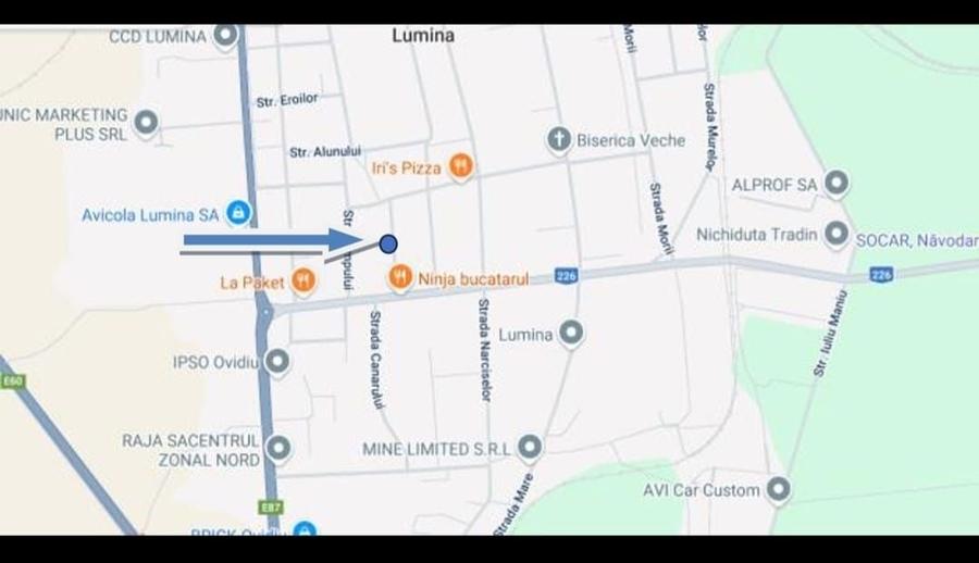 Teren Construcții intravilan de 3000 mp, în Lumina