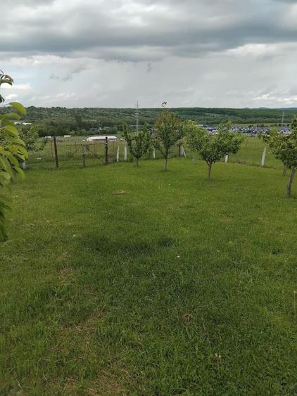 Spațiu comercial, în Cisnădie
