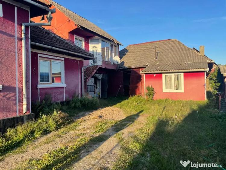 Investitie pentru liniste si oaza de verdeata - 4