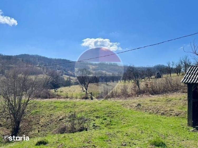 Teren de 7495 mp, în Bârsana