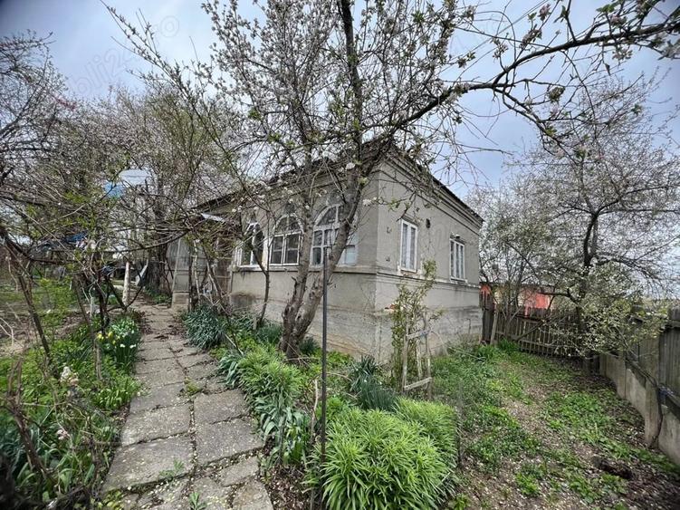 Teren de 2500 mp, în Gângiova