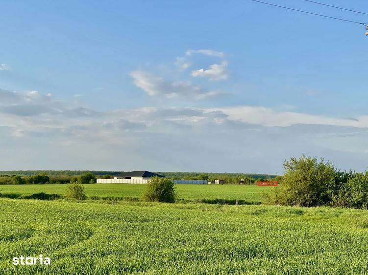 Teren de 670 mp, în Balotești
