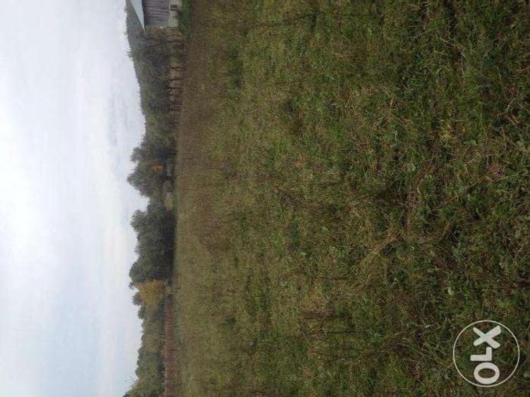 Teren de 12000 mp, în Pociovaliștea
