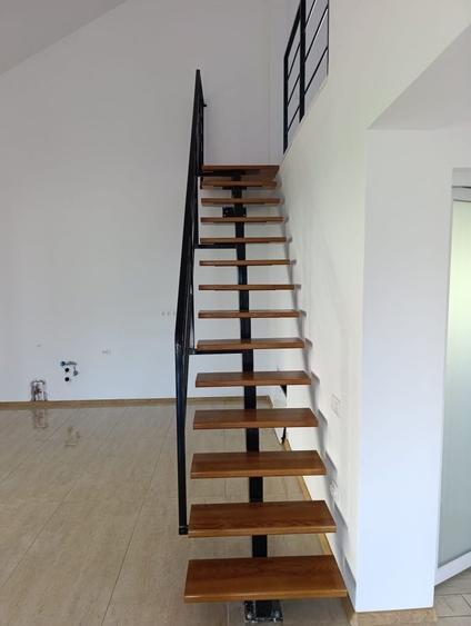 Casă cu 3 camere în Bascov