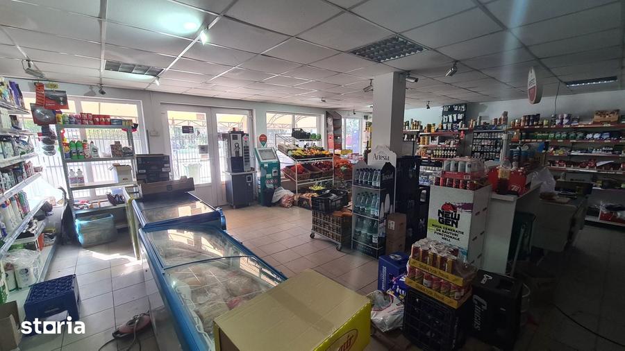 Casă cu Teren 802 Mp în Merișani