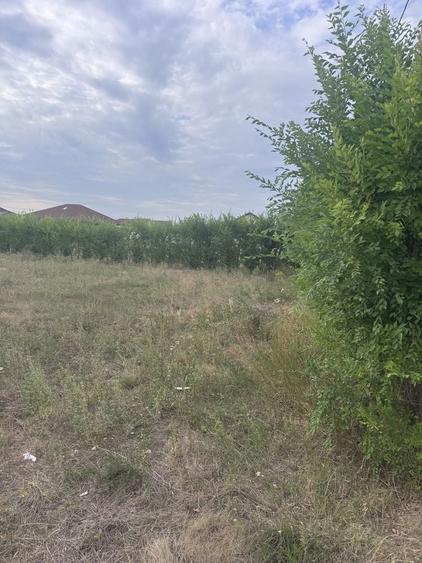 Teren de 750 mp, în Biharia