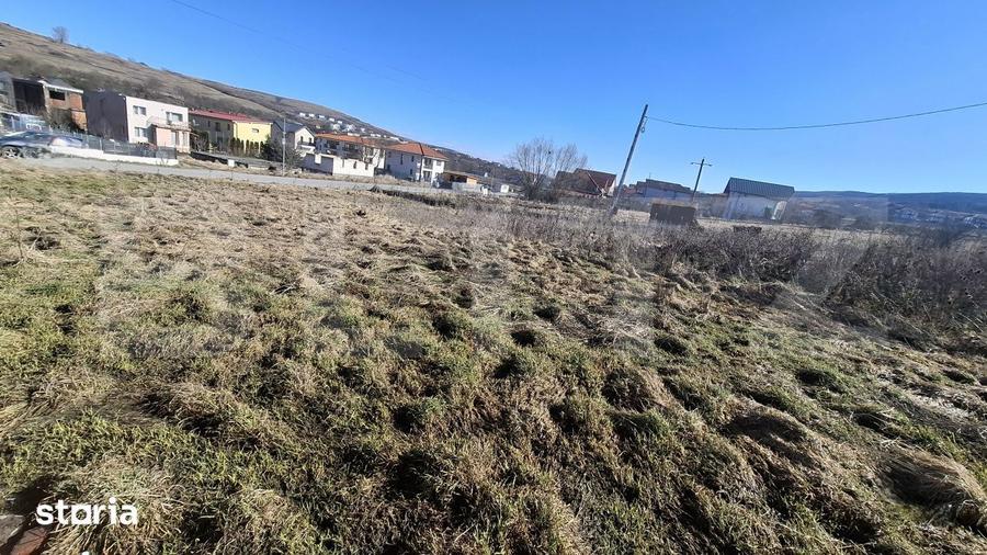 Teren de 556 mp, în Chinteni
