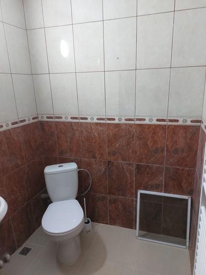 Spatiu de inchiriat zona Podu-Ros - 6