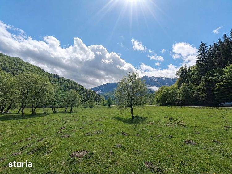 Zarnesti-Barsa Fierului-Teren 1.893 mp pentru Casa de vacan?a, A-frame - 8