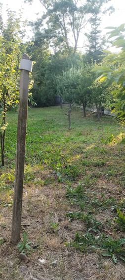 Casă în Racovițeni