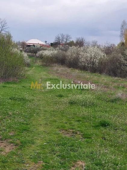 Teren de 3669.61 mp, în Central