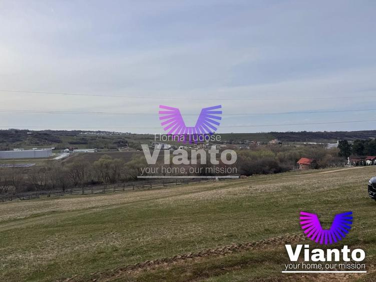 Teren intravilan pregatit pentru constructie 650 mp | Cisnadie