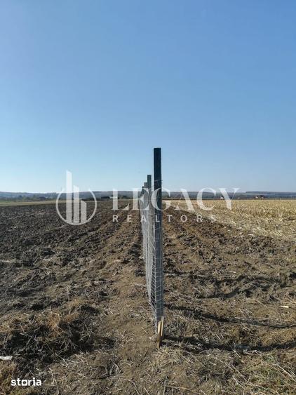 Teren de 30101 mp, în Săbăoani