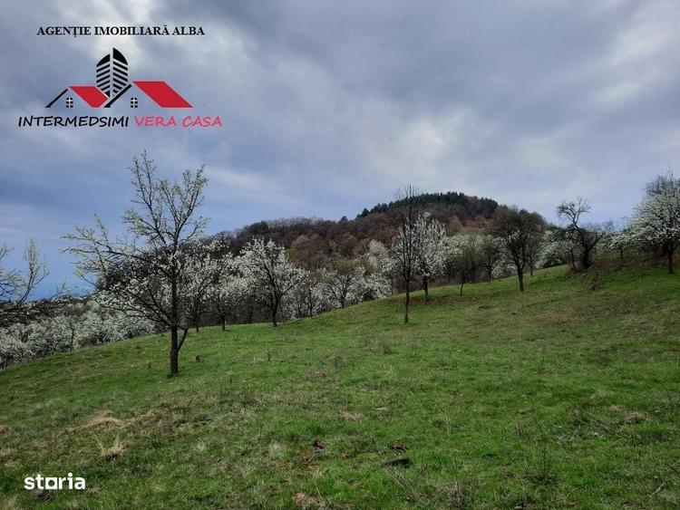 Spațiu comercial, în Valea Vințului