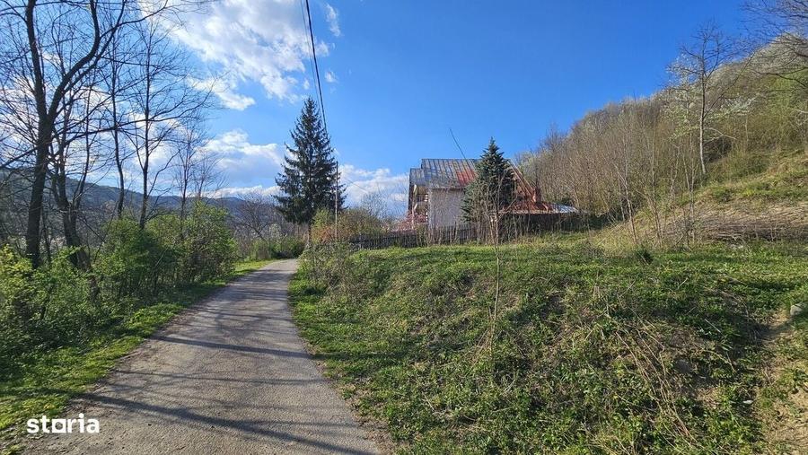 Spațiu comercial, în Brebu