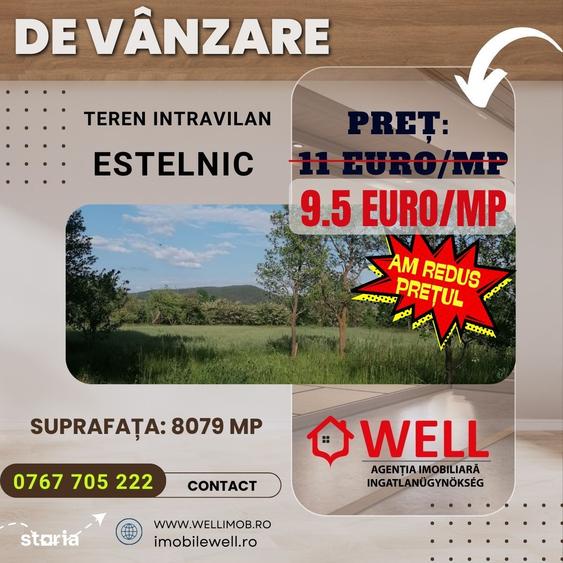 Teren de 8079 mp, în Estelnic