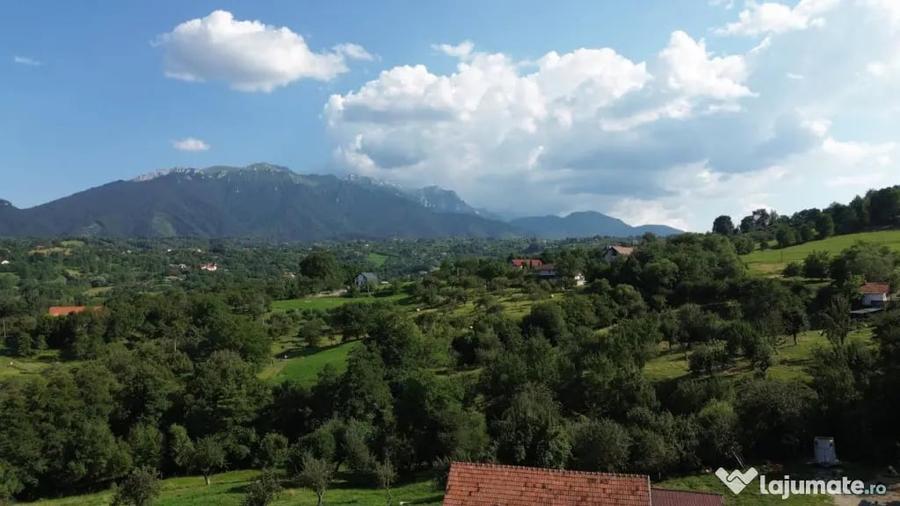Teren în Bran