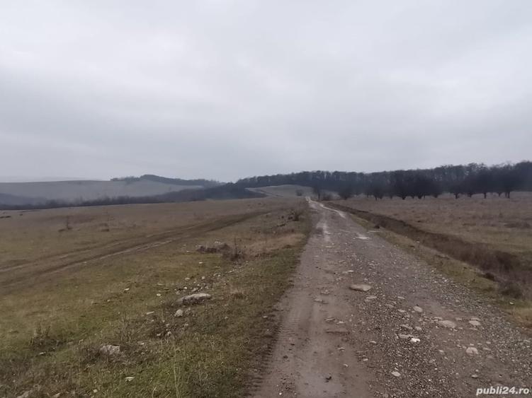 Teren în Central