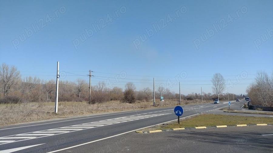 Teren de 20000 mp, în Valea Ursului (Tâmna)