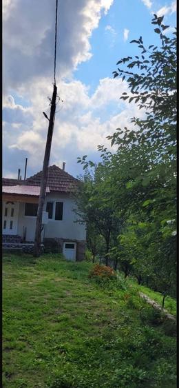 Teren de 95000 mp, în Costești (Albac)