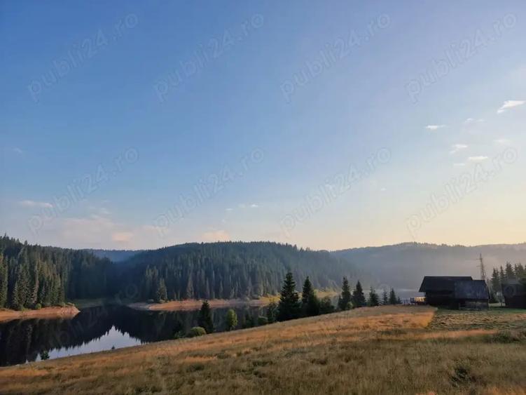 Teren de 7809 mp, în Giurcuța de Sus