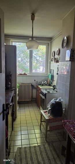 Apartament 2 camere de vanzare pozitie unicata, zona Gradinii Botanice - 4
