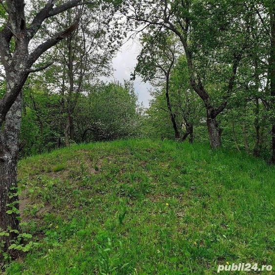 Teren de 5150 mp, în Șotrile