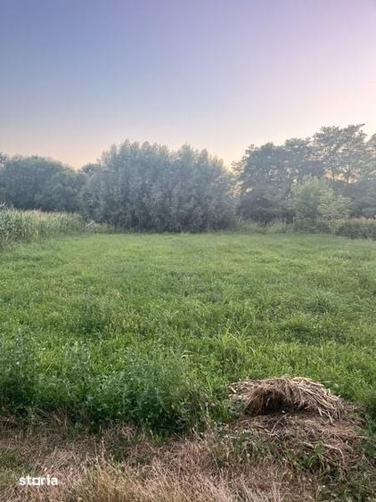 Teren de 1300 mp, în Umbrărești