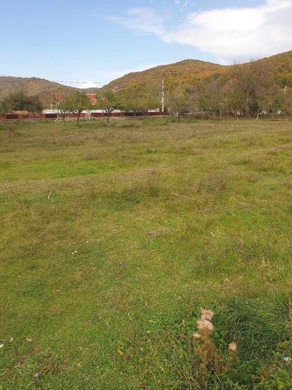 Casă cu Teren 3600 Mp în Balotești