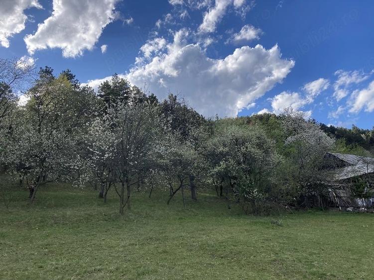 Teren intravilan 5.000 mp Garcina | 12 min de Piatra Neam? | Padure + priveli?te - 2