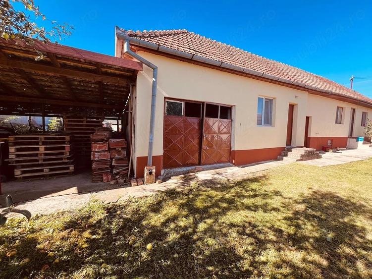 Casă cu 2 camere cu Teren 8000 Mp în Central