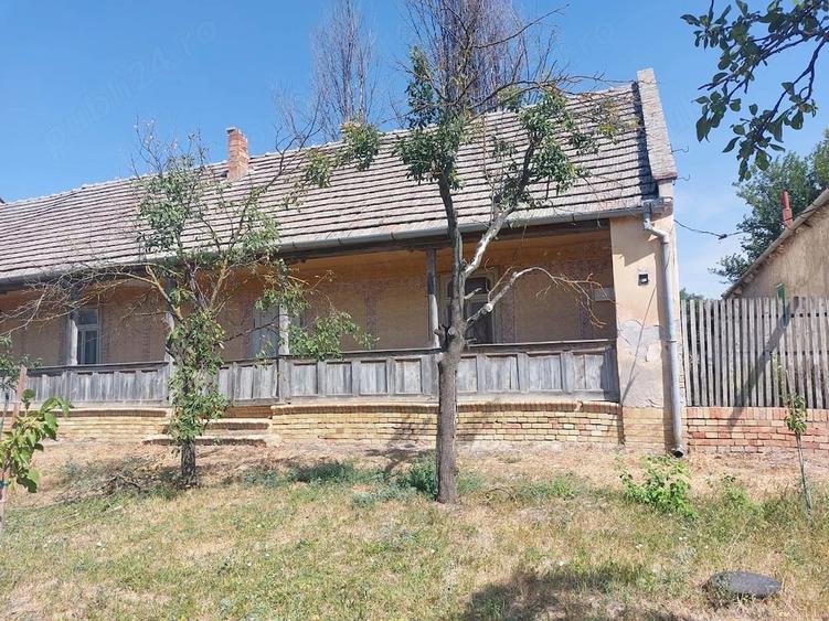 Casă cu 6 camere cu Teren 1480 Mp în Iecea Mare