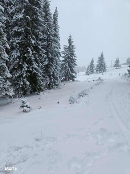 Teren de 1000 mp, în Mărișel