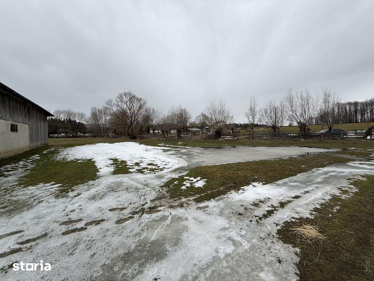 Teren de 3600 mp, în Horodnic