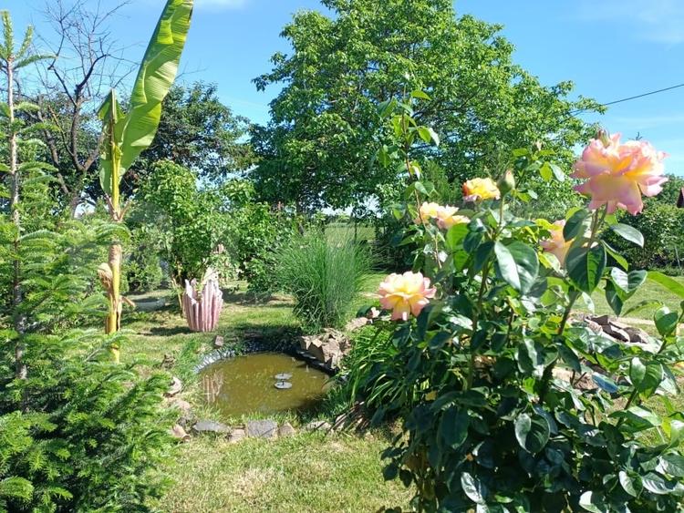 Teren agricol extravilan de 1000 mp, în Careiului