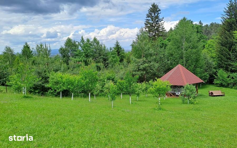 Teren de 2000 mp, în Ștefan cel Mare