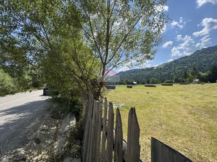 Teren Construcții intravilan de 2802 mp, în Borca